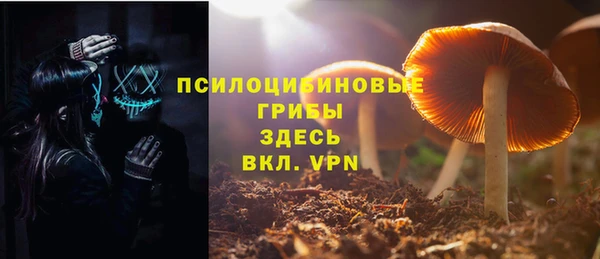 гидропоника Аркадак