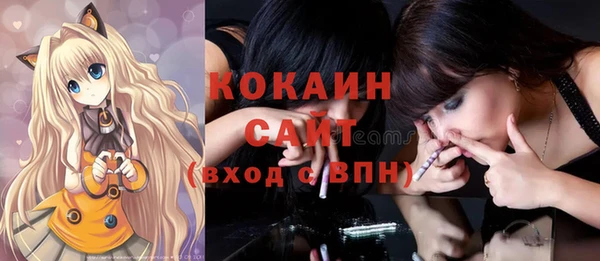 прущие грибы Саяногорск